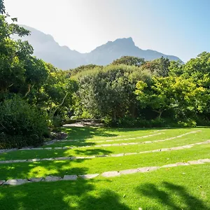 Vineyard Kaapstad